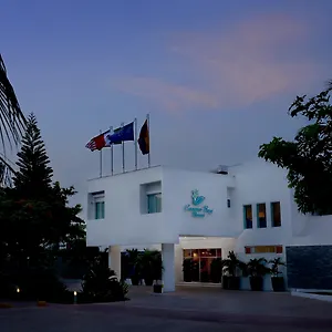book here